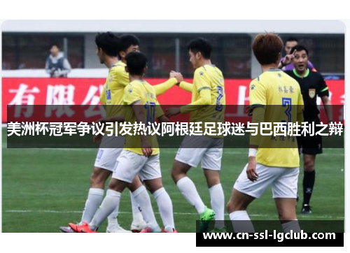 美洲杯冠军争议引发热议阿根廷足球迷与巴西胜利之辩